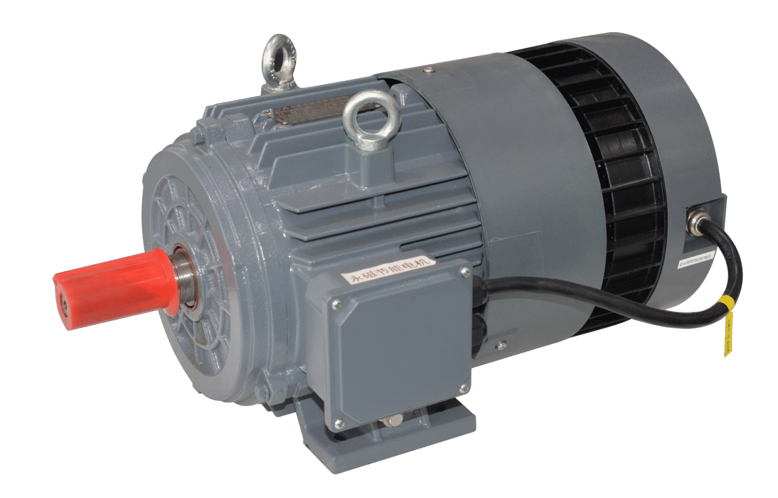 permanent magnet motor